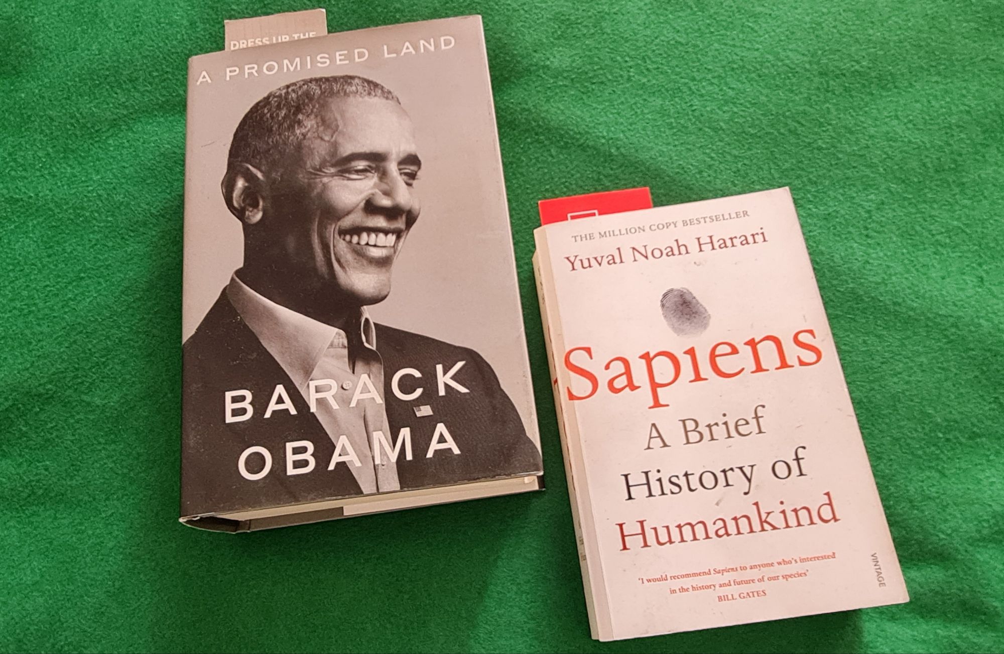 Two books I abandoned reading but stopped short of&nbsp;burning